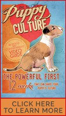 Puppy Culture DVD